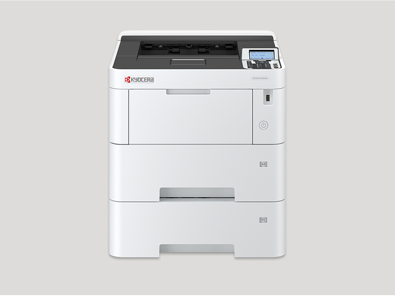 S/W ECOSYSs Drucker PA4500x